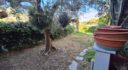 QUADRILOCALE CON GIARDINO