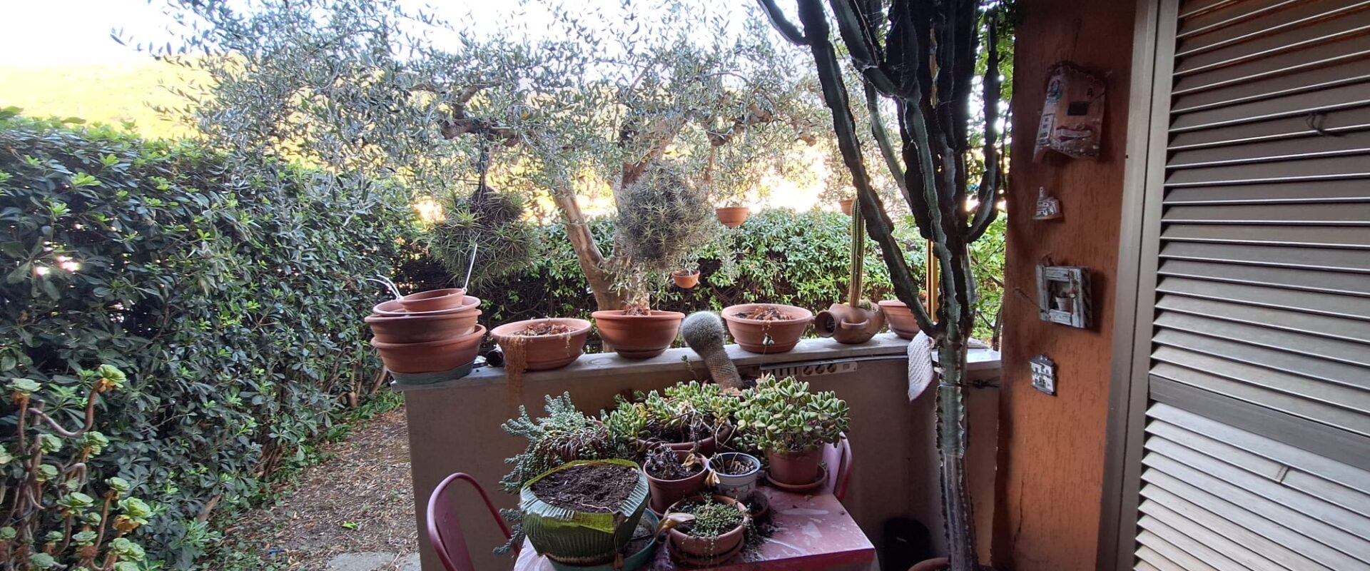 QUADRILOCALE CON GIARDINO