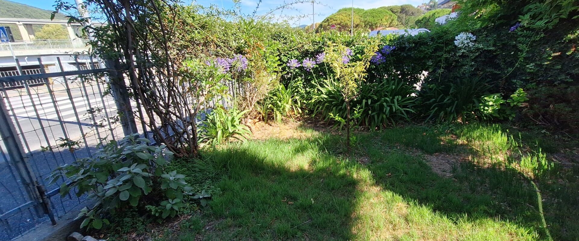 QUADRILOCALE CON GIARDINO